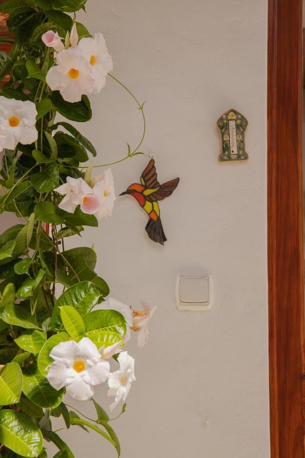 Vila Casa Carmen Haría Exteriér fotografie